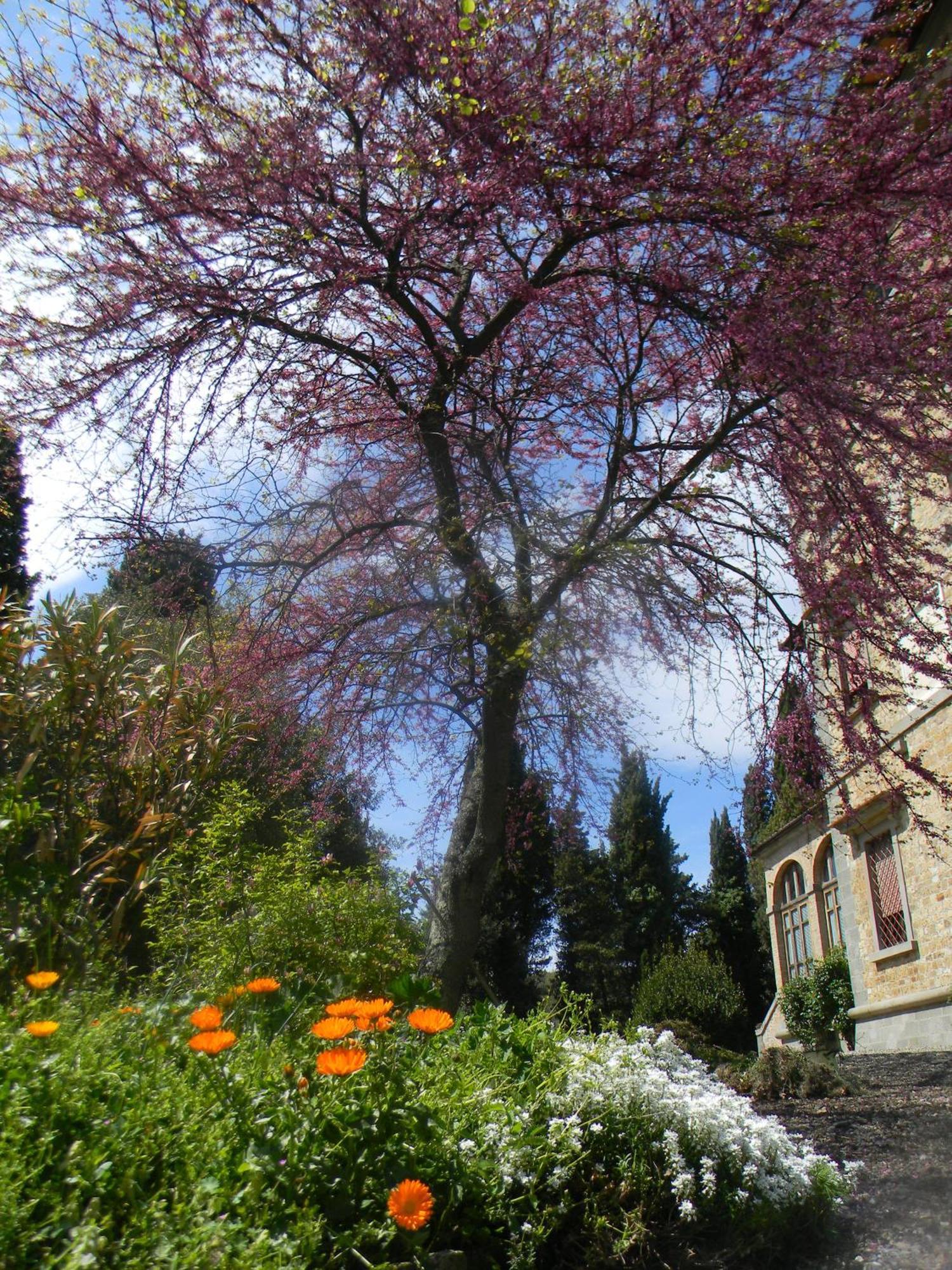 Villa Le Querciolaie Monteverdi Marittimo Εξωτερικό φωτογραφία